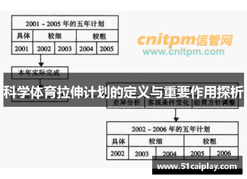 科学体育拉伸计划的定义与重要作用探析