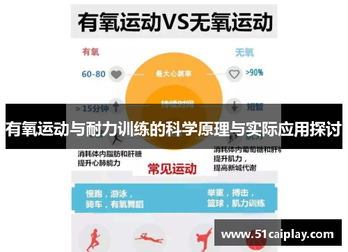 有氧运动与耐力训练的科学原理与实际应用探讨